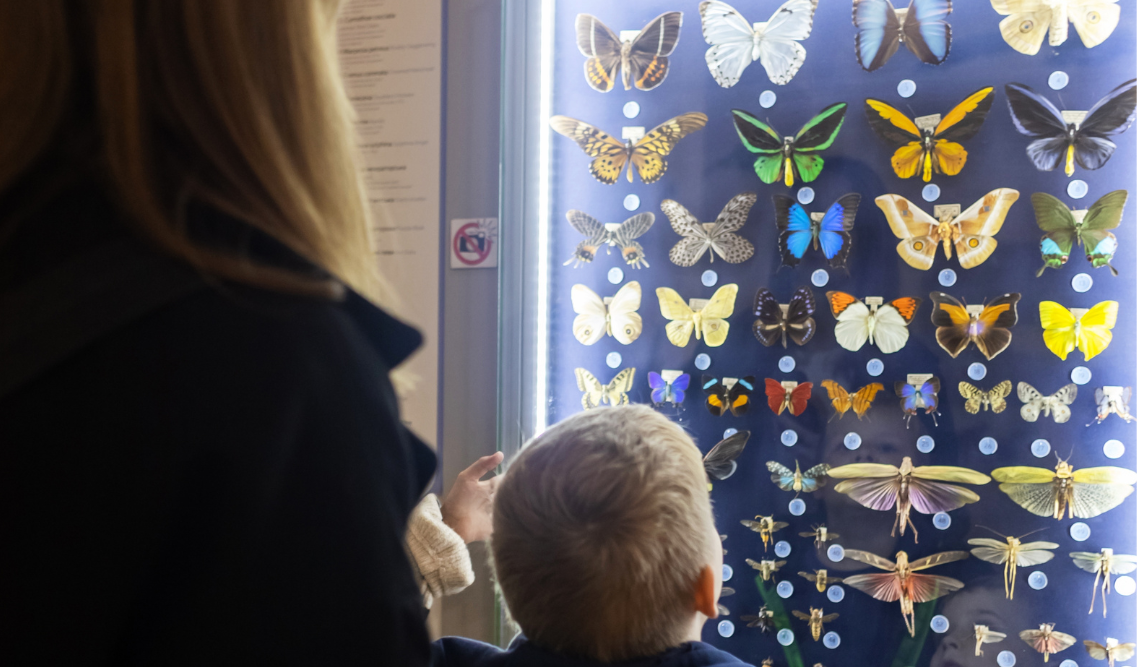 C&A_70%_akcio Corvin Plaza