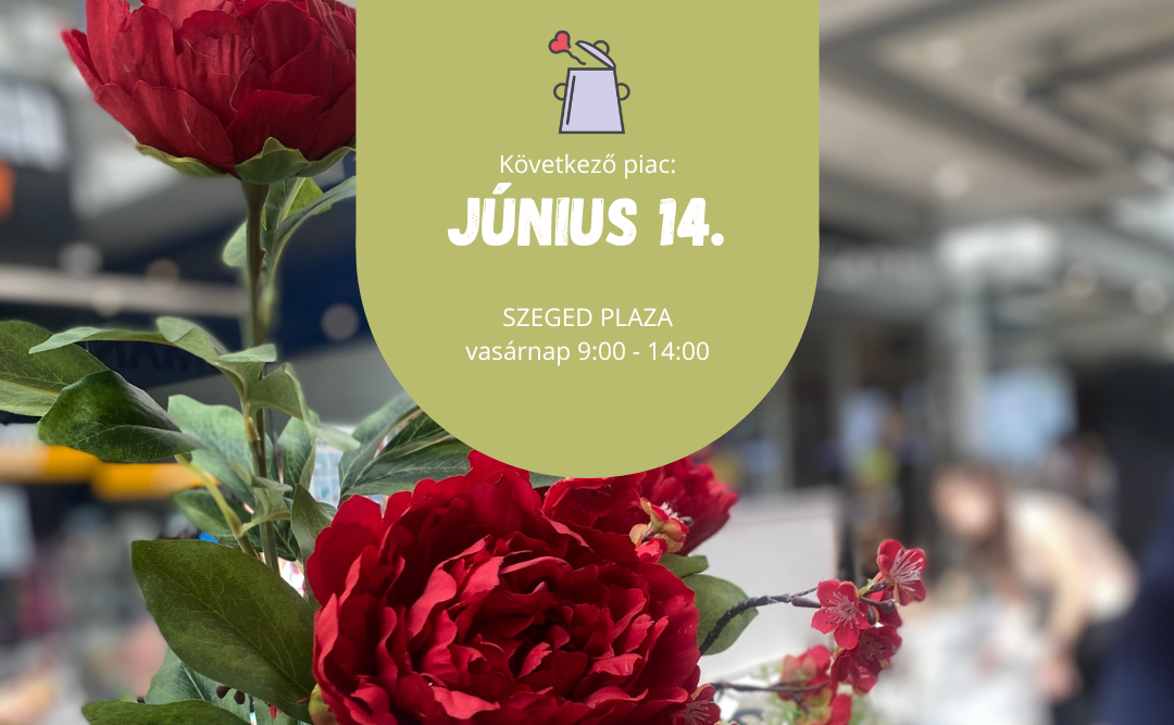 Bödön Piac a Szeged Plazában 06.14.